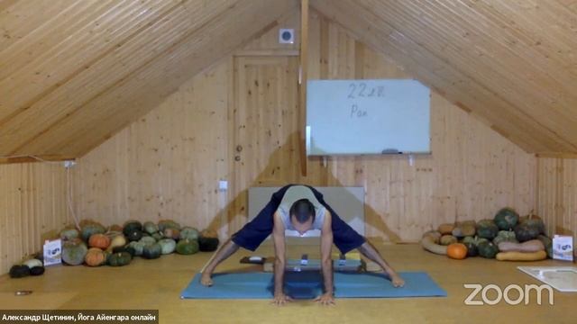12 Сб Йога Онлайн «Благость» Александр Щетинин смотреть онлайн