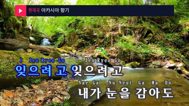 아카시아 향기 - 영조(Acacia Fragrance - Young Jo) (KY.99142) / KY Karaoke