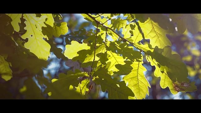 Начало осени. Sony NEX 5R + Гелиос 44-М6. смотреть онлайн