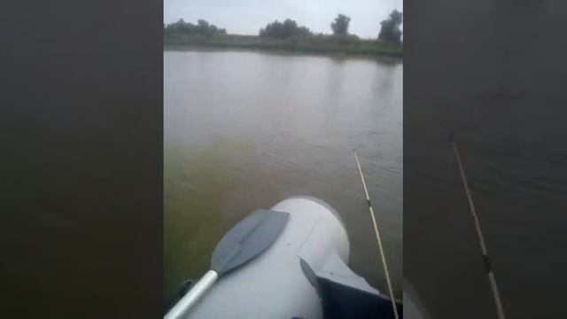 Астрахань. Каралат. Ловля сазана 2 смотреть онлайн