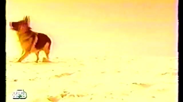 Без Тебя, Мне Не Легко(клип).dvr-ms.mp4 смотреть онлайн