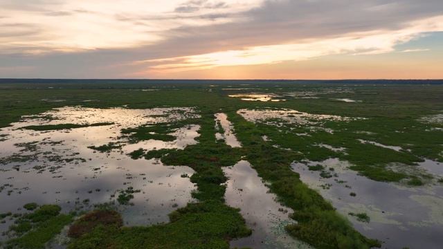 Sunset at Payne's Prairie, Fl | DJI Mavic 3 Pro смотреть онлайн