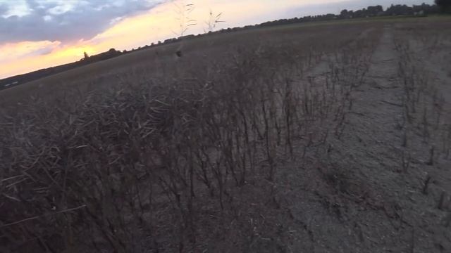 4 МЕСЯЦА ЖИВУ В КАБИНЕ.Гружусь ADR-ом.Клею наклейки на контейнер. смотреть онлайн