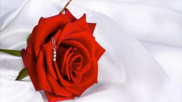 Flowers photos.flowers pictures images.wallpapers rose.rose photos.images photos.flowers wallpapers смотреть онлайн