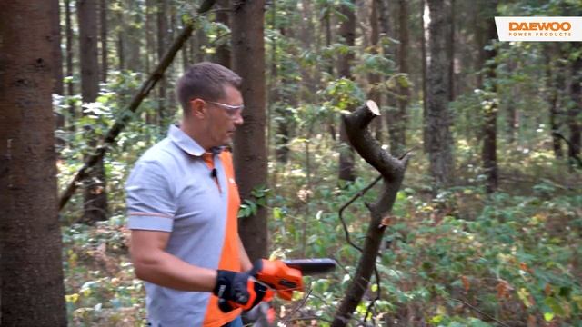 Аккумуляторный инструмент DAEWOO 16 вольт | DACS 416Li | DAGP 2516Li | DSA 6Li | DSA 9Li