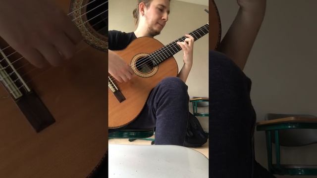 Francisco Tarrega - Mazurka in G | MERT BİROL смотреть онлайн