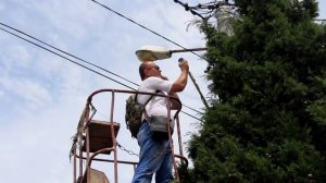 Судак веб камера Молодежная площадь