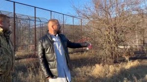 Доктор Василий приехал осмотреть ХЕРСОНСКУЮ ВОЛЧИЦУ с вздутым животом!