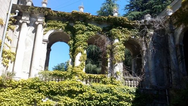 PIANODELICA - Old Boomer смотреть онлайн