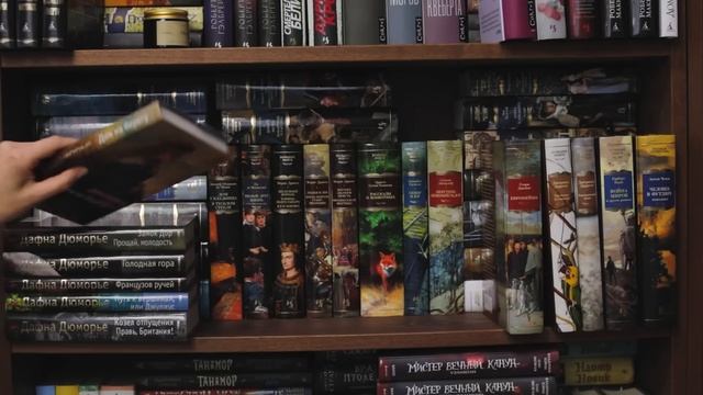 КНИЖНЫЕ ПОЛКИ?Библиотека моей мечты?Серия 3 смотреть онлайн