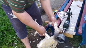 Насадка для ощипывания птицы