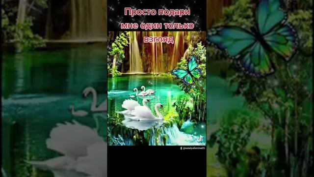 Просто подари мне один только взгляд смотреть онлайн