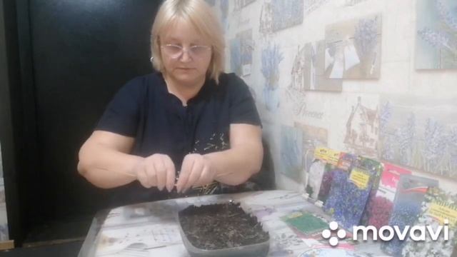 Секреты посева РОЗМАРИНА от Евгении, советы и опыт смотреть онлайн