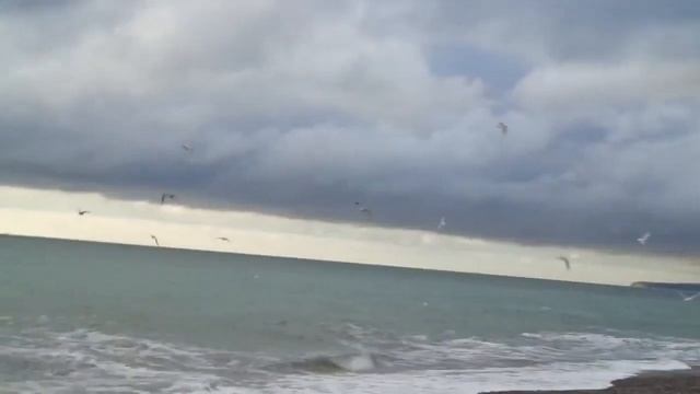 Скажи а чайки тоже плачут смотреть онлайн