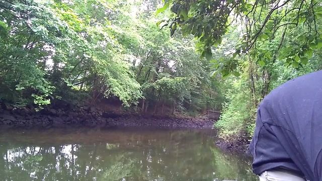 White Perch Mania! Gulp! vs. live worms vs. inline spinner - I think I caught 100 fish! смотреть онлайн