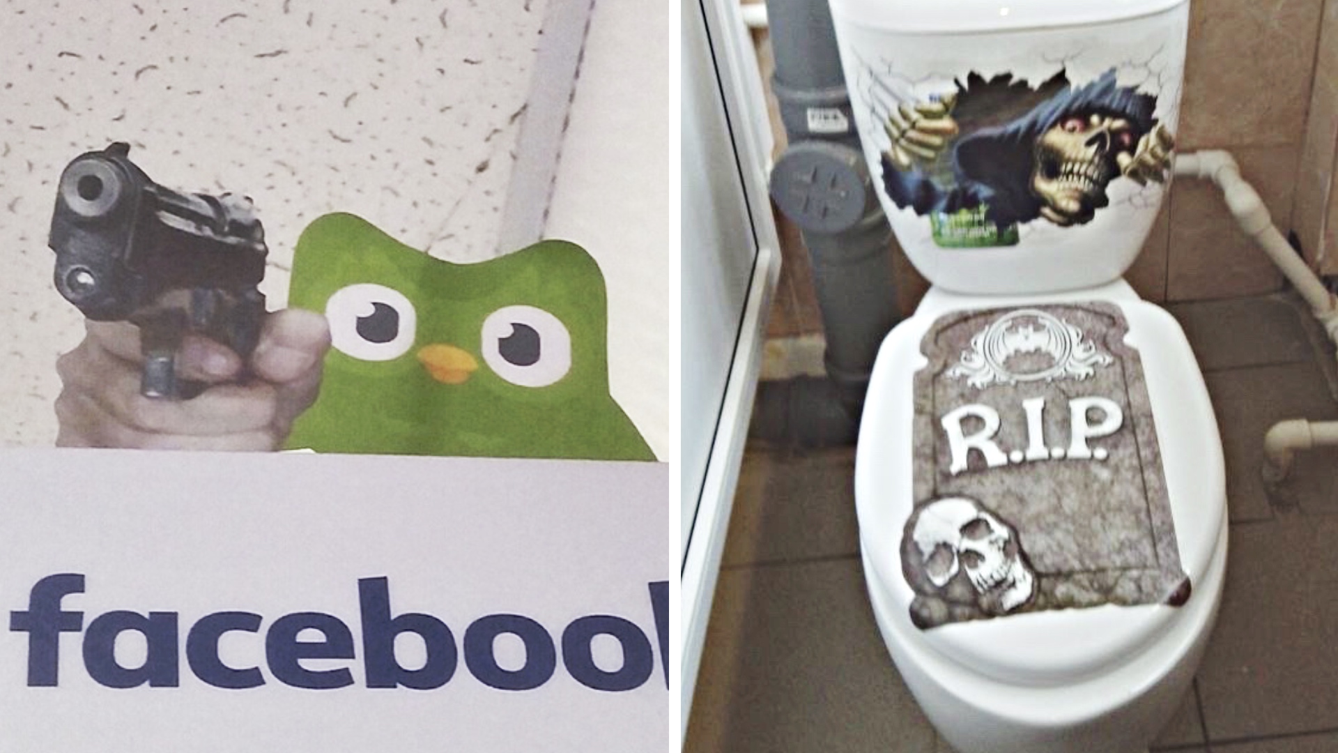 Фото подписчиков Фактории (211 часть) смотреть онлайн