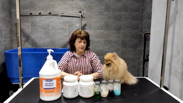 груминг шпица