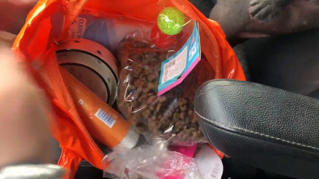 Первая дочка Лео и Юты отправляется в Сочи ! смотреть онлайн