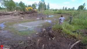 Копаем пруд на даче экскаватором. Digging a pond. Очистка и углубление пруда от ила. Серия 3?