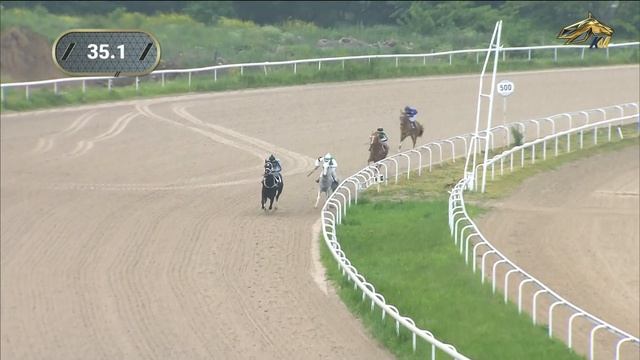 Приз в честь Международного дня русского языка. Ахалтекинская порода. Пятигорский ипподром. 06.06.2 смотреть онлайн