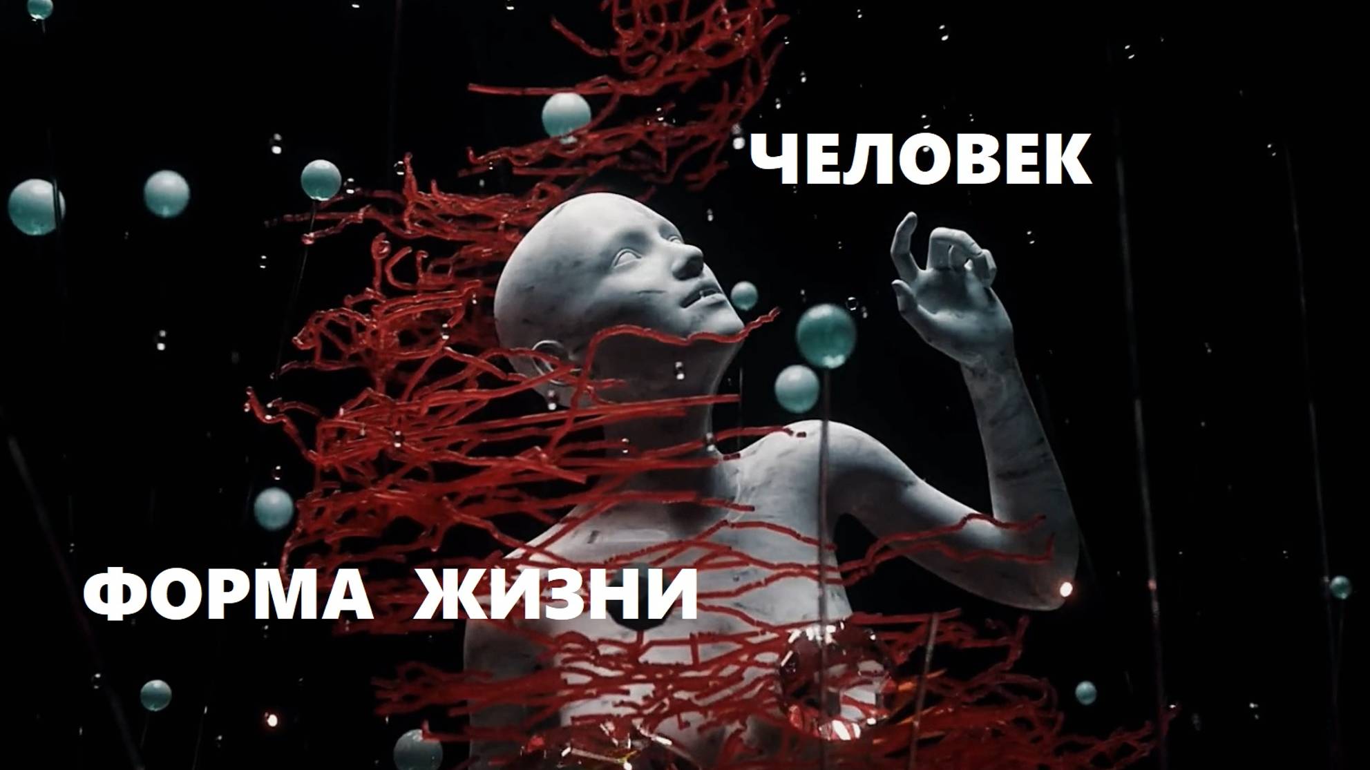 Форма жизни - Человек / НПК ПМиИП 