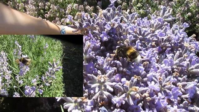 Мода и Стиль для Подростков