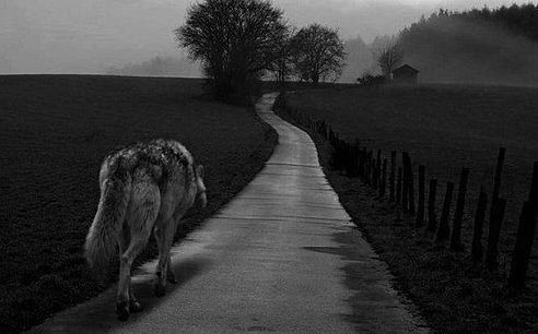 Я считаю, что любви нет - Сложная штука Любовь :( смотреть онлайн