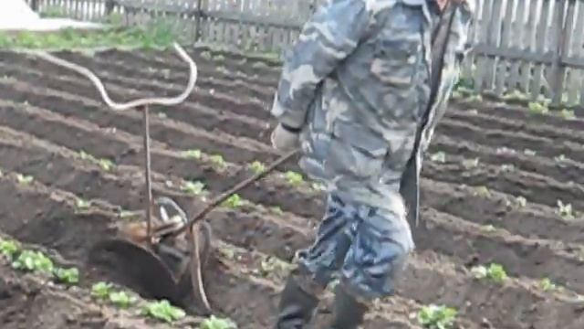 Окучивание картофеля смотреть онлайн