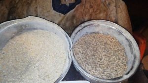 Дешёвый корм для свиней#корм_для_свиней#Свиньи #Поросята#Свиноводство