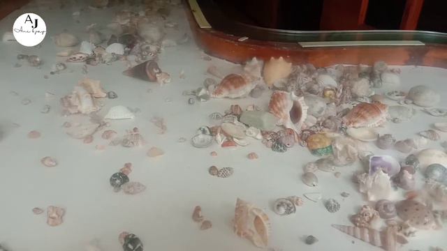 Yangang to Namchi Visit🚖 | Market Vlog | ANI & JAY смотреть онлайн