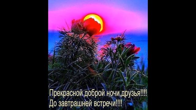 Добрый вечер! Доброй ночи! До завтра! смотреть онлайн
