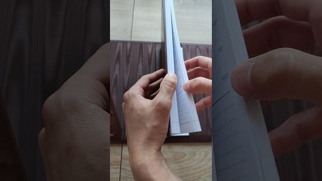 Папка для документов и недатированный дневник. Кожа. Тиснение. смотреть онлайн