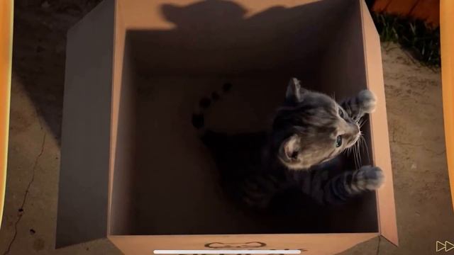 Little Kitten My Favorite Cat - Learn Colours With Little Kitten Care Games For Kids Children #197 смотреть онлайн