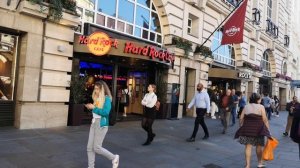 Толокнянка польза и вред