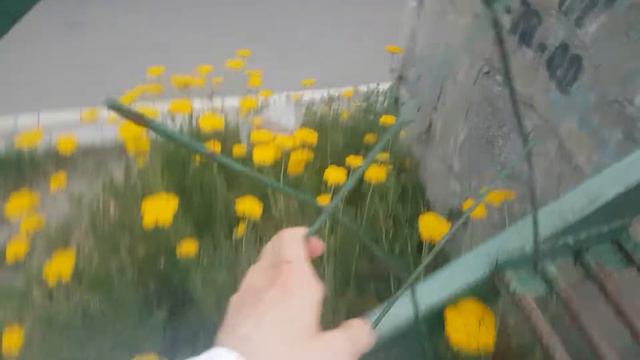 Опасный мост в Бишкеке смотреть онлайн