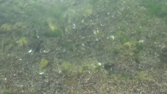 На море в Крым Отдых в Севастополь Кача Отдых смотреть онлайн