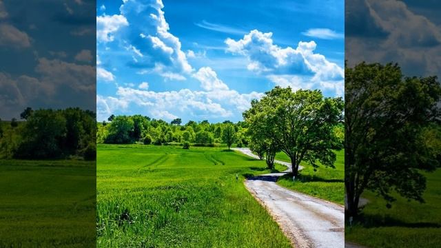 Грустная музыка 2019 факат дам бги мухочирбача смотреть онлайн