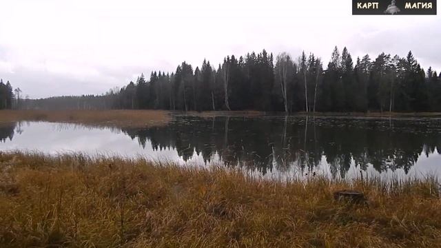 Zarech 13 смотреть онлайн