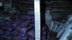 ЛПХ, овощехранилище