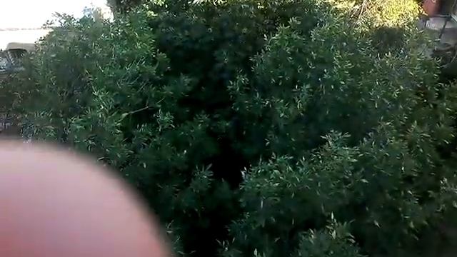 Вид саратова с 7-ого этажа смотреть онлайн