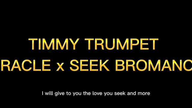 ORACLE MIX W SEEK BROMANCE - TIMMY TRUMPET смотреть онлайн