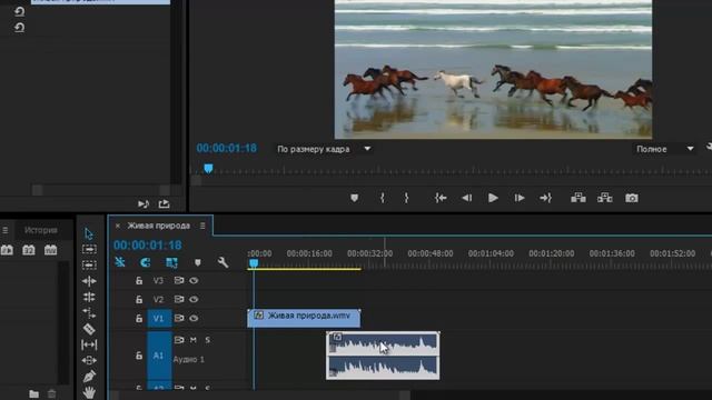 Как удалить звук из видео (Adobe Premiere Pro CC) смотреть онлайн