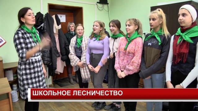 ШКОЛЬНОЕ ЛЕСНИЧЕСТВО смотреть онлайн
