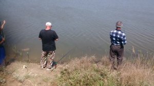 Россия. Крым. Ленинский район. Рыбалка на карася 3