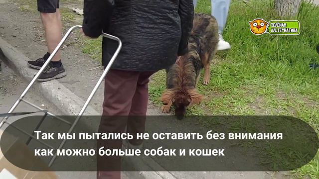 О раздаче кормов для животных в ДНР • Зелёная альтернатива смотреть онлайн