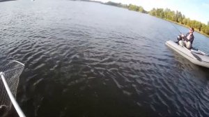 Судак на джиг. Ловля на Maximus Ultimatum 24M.