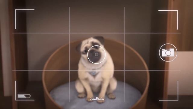 30 minutes of Mighty Mike ?⏲️ // Compilation #14 - Mighty Mike смотреть онлайн