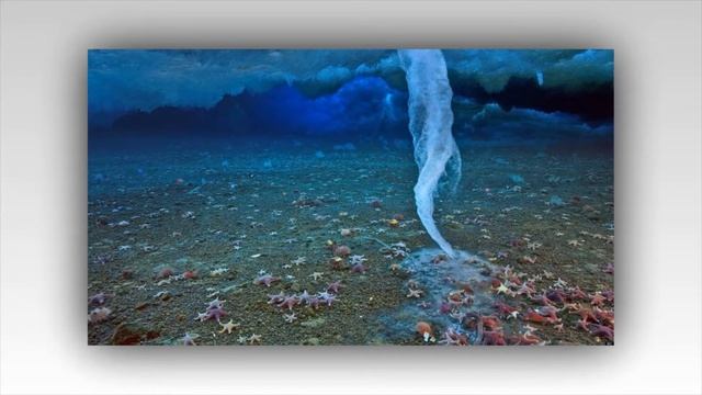 ПОЧЕМУ ВОДА НЕ ЗАМЕРЗАЕТ ПОД СЛОЕМ ЛЬДА смотреть онлайн