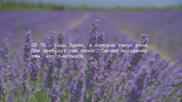 Глава 20 — Таха смотреть онлайн