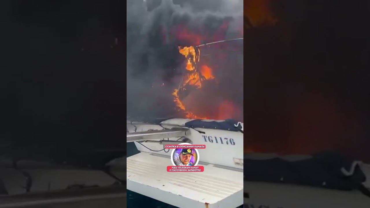 ЧП в Марине в Африки смотреть онлайн